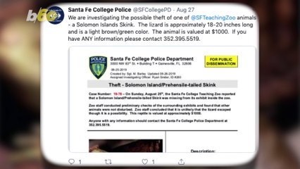 Florida Police Searching for Missing Zoo Lizard Valued at $1,000 That May Have Been Stolen