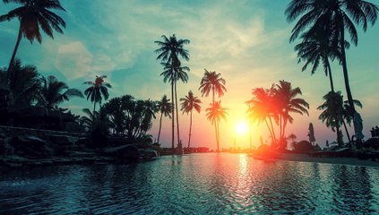 // CHILLOUT LOUNGE // SUMMER MIX 2019 //