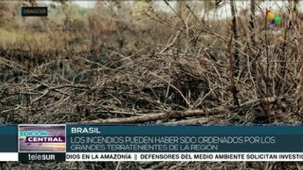 Persisten intensos incendios al lado del río Madeira en Brasil