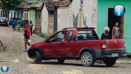 O perigo do mosquito transgênico - Doutora Helen Wallace esclarece