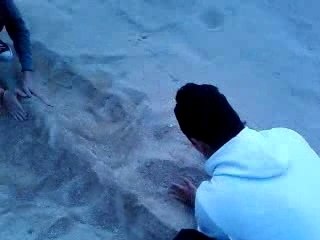 tom et brice ki fon un chateau de sable au lycée