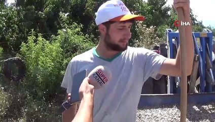 Çin çekirdeğinin Türkiye'ye girmesiyle yerli üretim bitme noktasına geldi