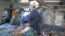 España encabeza la donación de órganos en todo el mundo