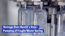 Nestlé Is Damaging This Water Spring