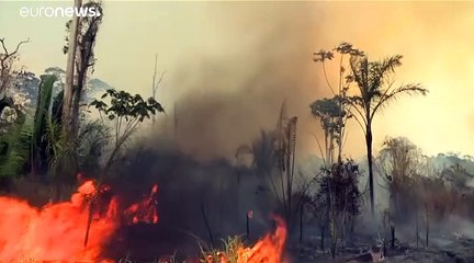 Amazonie, brûlis et Brigitte Macron : les décisions de Bolsonaro