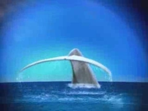 BoA カルピスウォーター CALPIS WATER 20040423