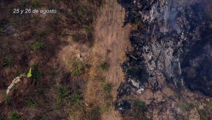 Bolsonaro decreta suspensión de quemas para frenar incendios amazónicos
