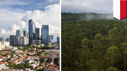 Indonesia plans to relocate capital city to Borneo island