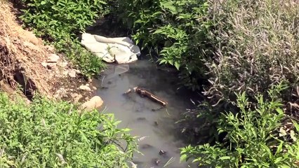 Hassa'da su kanalına akan lağım ve kanalizasyona tepki - HATAY