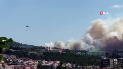 Çanakkale'de Şehrin Yanı Başında Korkutan Orman Yangını