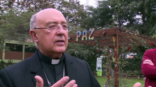 Ayuda del G7 para la Amazonía no afecta soberanía de Brasil, dice cardenal peruano