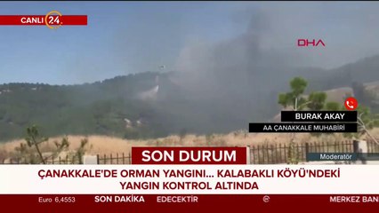 Çanakkale'de orman yangını