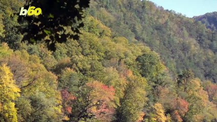 National Park Service Says Be on the Lookout for Rolling Balls of Poo