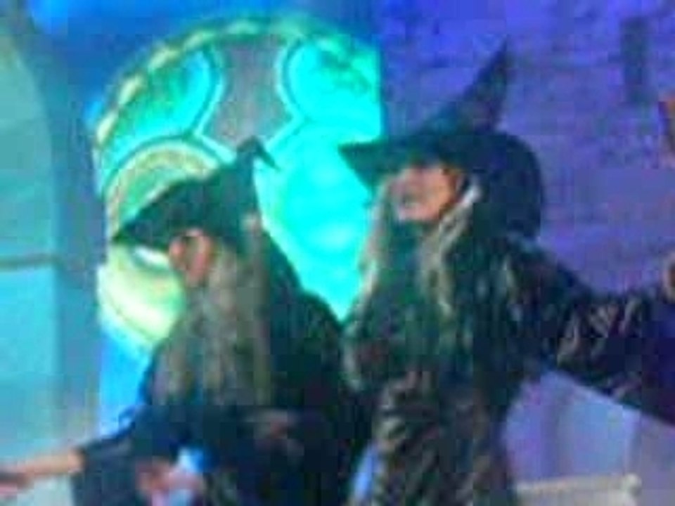 enfoirés 2008