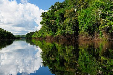 Der Amazonas - die Lunge der Welt geht verloren