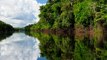 Der Amazonas - die Lunge der Welt geht verloren