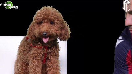 Bologna, Gary Medel transferini açıkladı