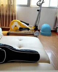 Ce chat se prend pour un superhero. A mourir de rire !