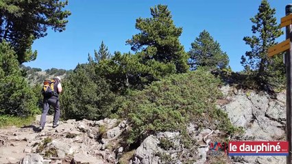 Le lac Achard, un site en danger mais de plus en plus protégé