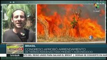 teleSUR Noticias: 24 días de la amazonía en llamas