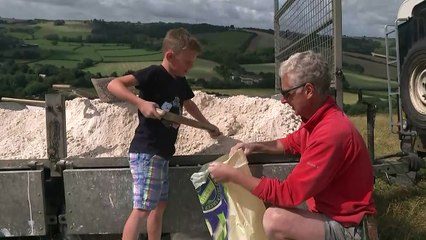 Volunteers restore Dorset's giant chalk man