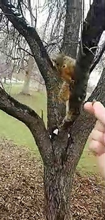 Biting the Hand that Feeds