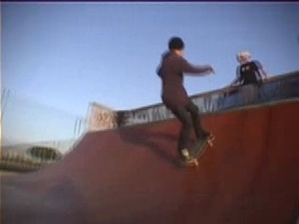 3'6 trip new