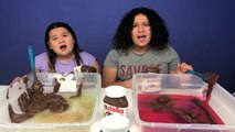 Don’t Choose the Wrong Nutella Slime Challenge