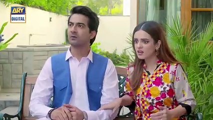 Barfi Laddu Ep 14 - 29th August 2019 - ARY Digital Drama