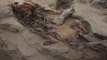 Nuevas excavaciones revelan que sacrificios de niños eran un ritual habitual en el Antiguo Perú