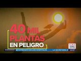 Las condiciones de Bolsonaro para recibir ayuda por incendios en Amazonia