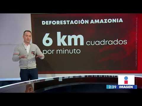 ¡Estas son las principales consecuencias de la deforestación en la Amazonía! | Yuriria Sierra
