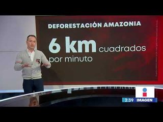 ¡Estas son las principales consecuencias de la deforestación en la Amazonía! | Yuriria Sierra