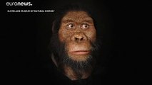 Fossil discovery reveals face of oldest early human ancestor