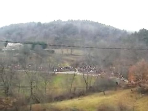 Loeb monte carlo 2008