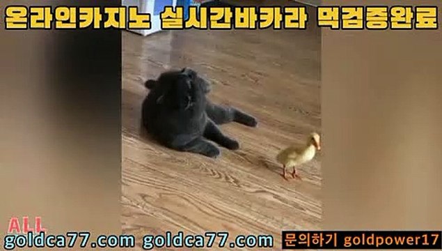 우리카지노 banker376.com pc카지노 golca95.com 도박 golca88.com 바카라필승법 golca77.com 올인구조대 banker19.com 바카라추천 banker376.com 홀덤 golca