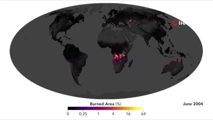 - Afrika Yanıyor Ancak Amazonlar Konuşuluyor- Dünya Üzerindeki Her 7 Yangından 1'i Afrika'da