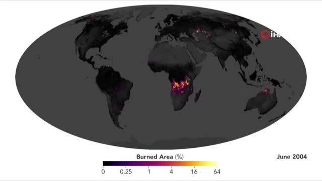 - Afrika Yanıyor Ancak Amazonlar Konuşuluyor- Dünya Üzerindeki Her 7 Yangından 1'i Afrika'da
