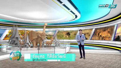 โลกสารคดี EP.8 Pride in The Battle ฝูงแห่งการดิ้นรน (1/3)
