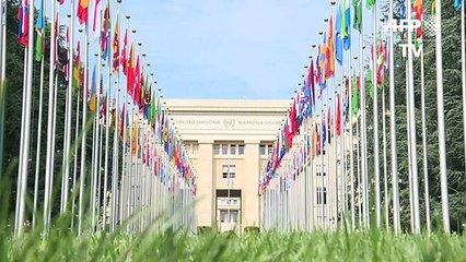 El sarampión resurge con fuerza en Europa (OMS)