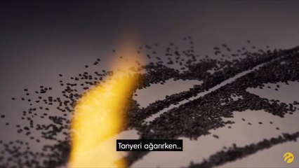 30 Ağustos Zafer Bayramı