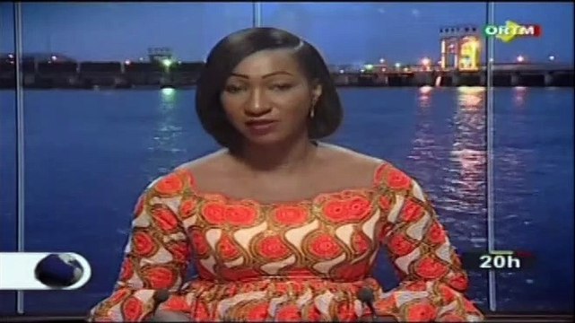 ORTM/Le président de la république a reçu plusieurs personnalités en audience ce jour au Japon