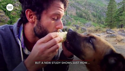 Dogs Really Can Tell If Someone Is a Bad Person