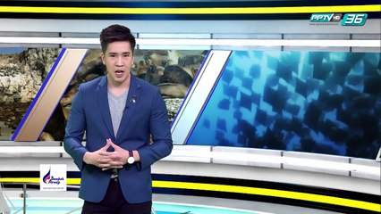 ชายฝั่งลึกลับแห่งอเมริกา - โลกสารคดี (2/3)