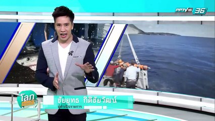 หมู่เกาะฉลามหัวค้อน พยัคฆ์ร้ายแห่งท้องทะเล - โลกสารคดี (2/3)