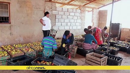 Une Zambienne abandonne la blouse d'infirmière pour les bottes d'agricultrice