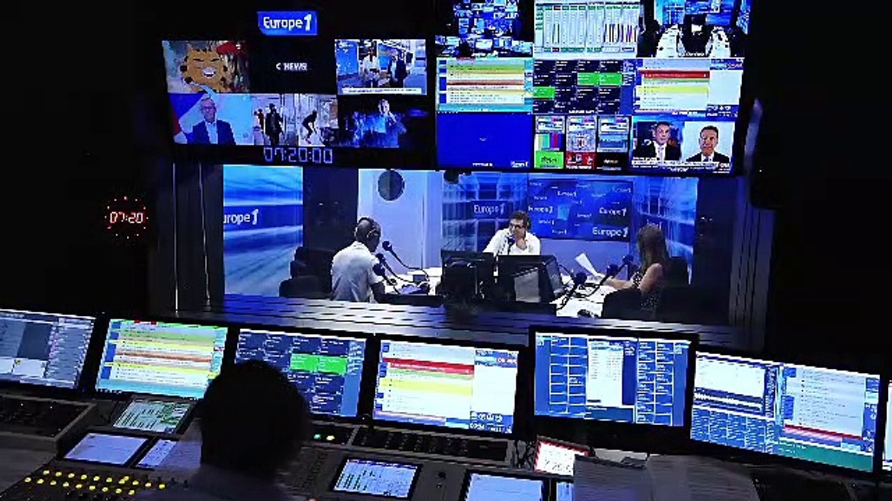 Éducation canine : les chiens pourraient bientôt être télécommandés grâce à une veste vibrante