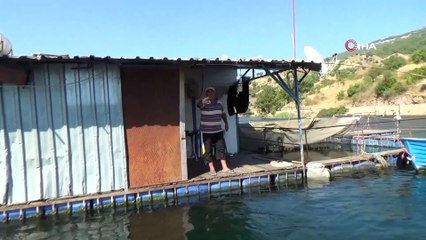 Denize kıyısı olmayan Kahramanmaraş’ta, alabalıktan yıllık 8 milyon Euro gelir