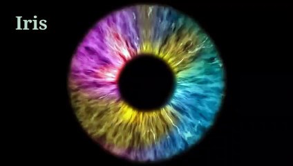 Eye Infection and Common Problems Discussed by Sami Anwar