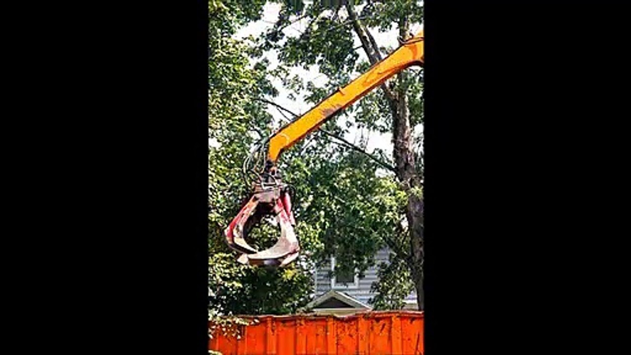 Maltba Tree Service - (828) 229-5699